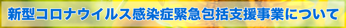 新型コロナウイルス感染症緊急包括支援事業（医療分）Web 申請受付システム