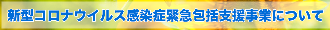 新型コロナウイルス感染症緊急包括支援事業（医療分）Web 申請受付システム